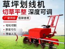 点击查看详细信息<br>标题：草皮划线机 阅读次数：3947